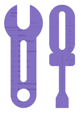 custom fields