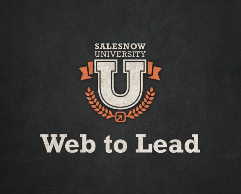 web to lead setup