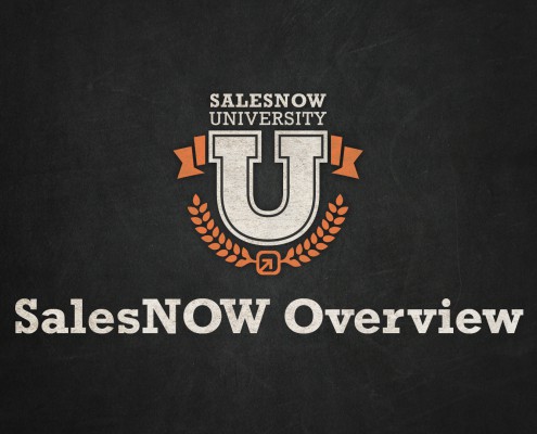 SalesNOW overview